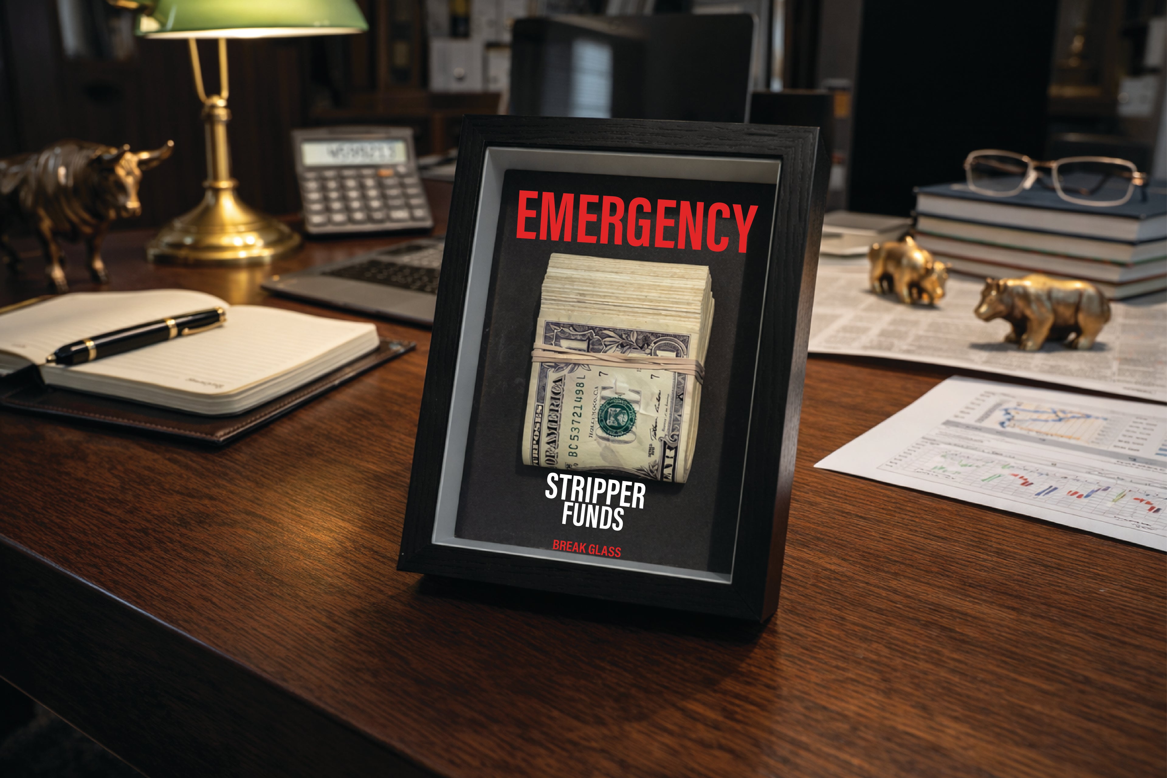 EMERGENCY Stripper Funds Frame — Novelty Humor Wall Décor with Prop Cash | Brnd Studio
